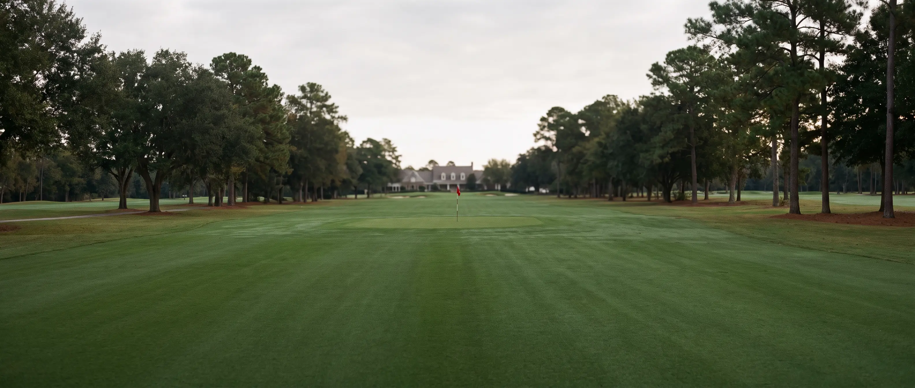 Morning fairway at the club